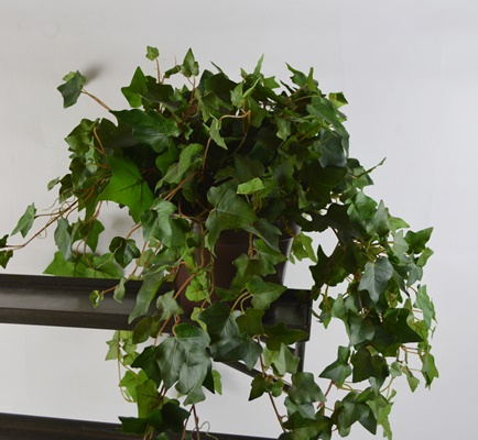 Metal Plant Stands and Faux Plants