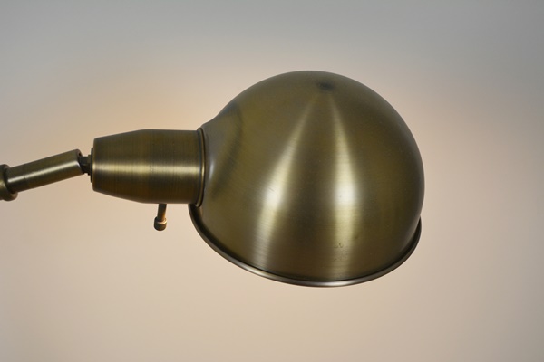 Adjustable Brass Floor Lamp