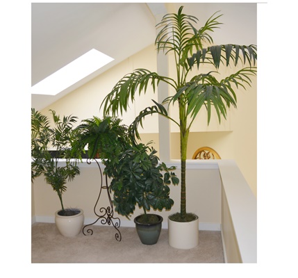 Faux Plant Collection Including a Faux Palm Tree