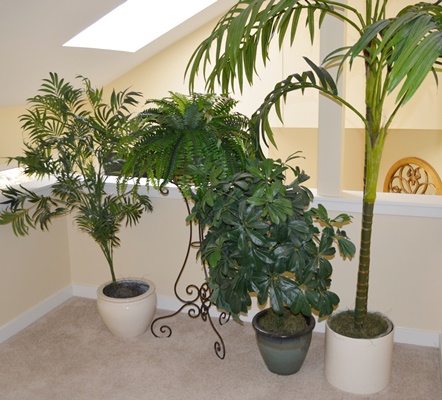Faux Plant Collection Including a Faux Palm Tree