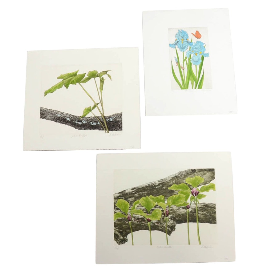 Collection of Three Limited Edition Hand-colored Etchings of Plants