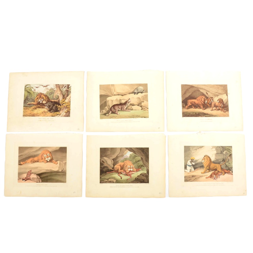 Six Colored Copper Engravings from _A New Work of Animals_ 1811