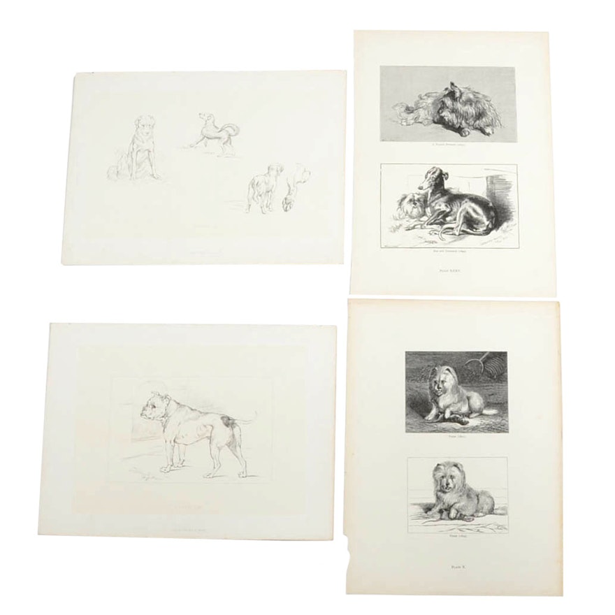 Lithographic Prints of Dogs - Four