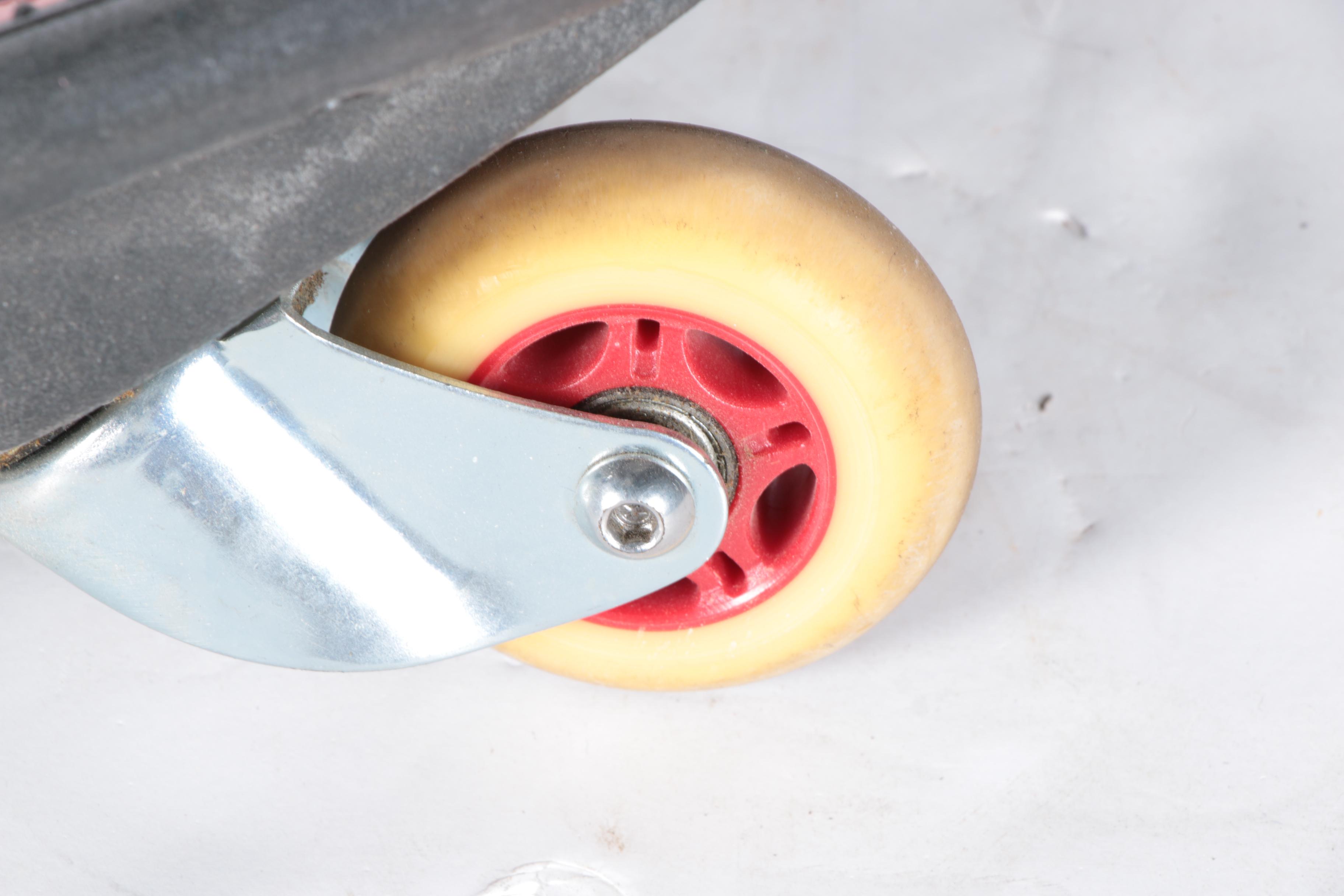 Hoverboard and Caster Board