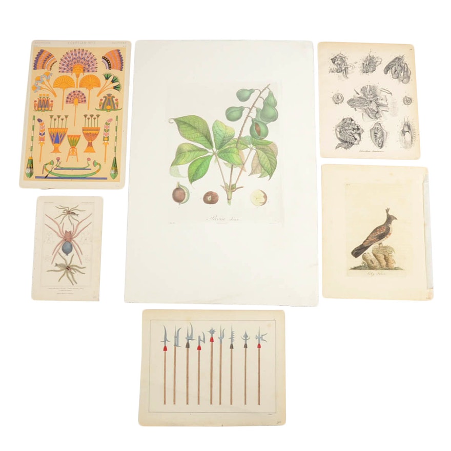 Assortment of Antique and Vintage Prints