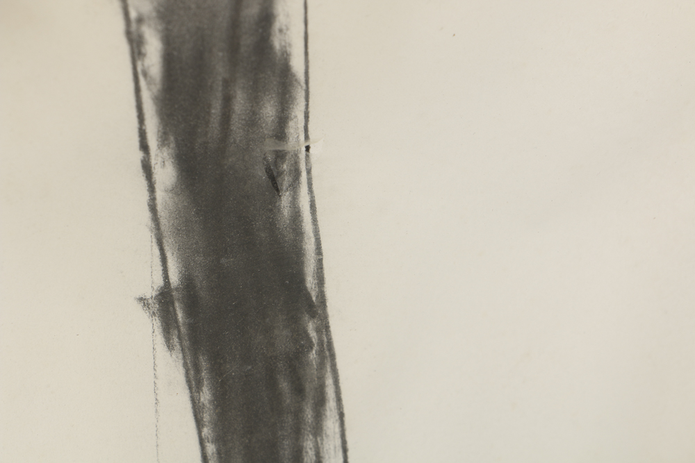 Michael Steiner Charcoal Drawing on Paper