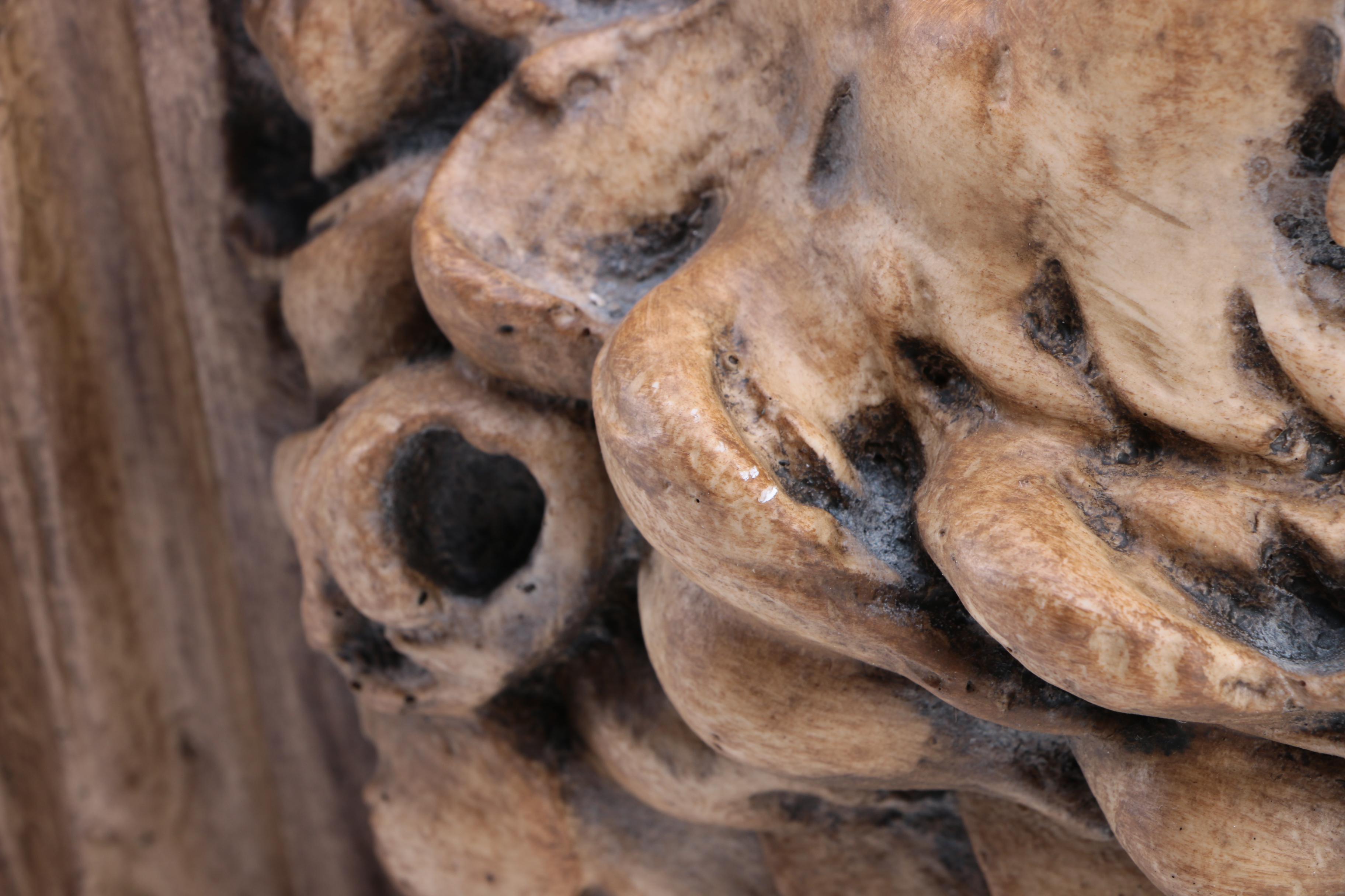 Lion Head Wall Sconce