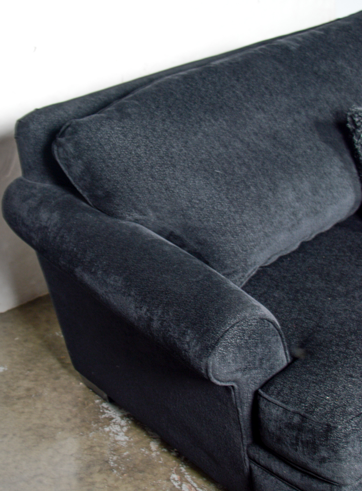 Carter Contemporary Twin Sleeper Sofa