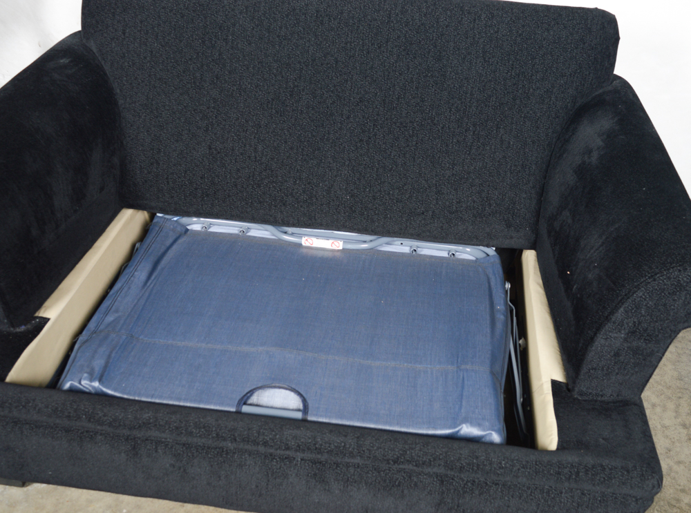 Carter Contemporary Twin Sleeper Sofa