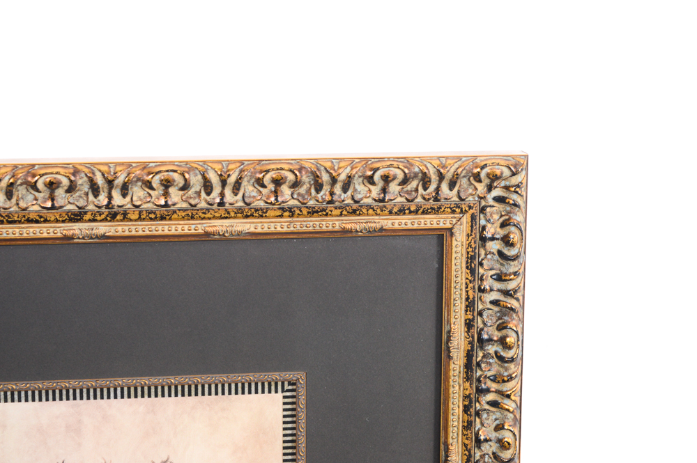 Framed Botanical Offset Lithograph