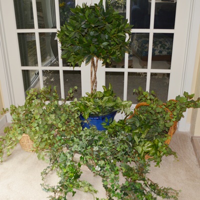 Faux Ivy Plants and Other Faux Plants
