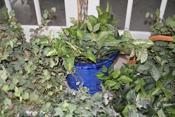 Faux Ivy Plants and Other Faux Plants