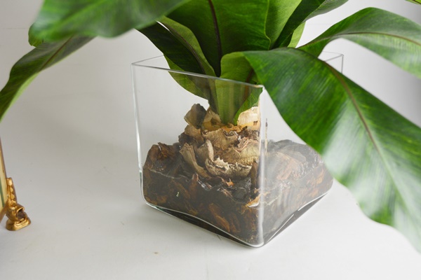 Four Faux Plants With Red Amaryllis