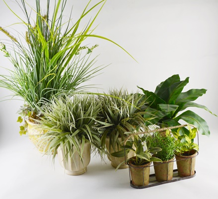 Four Faux Plants With Red Amaryllis