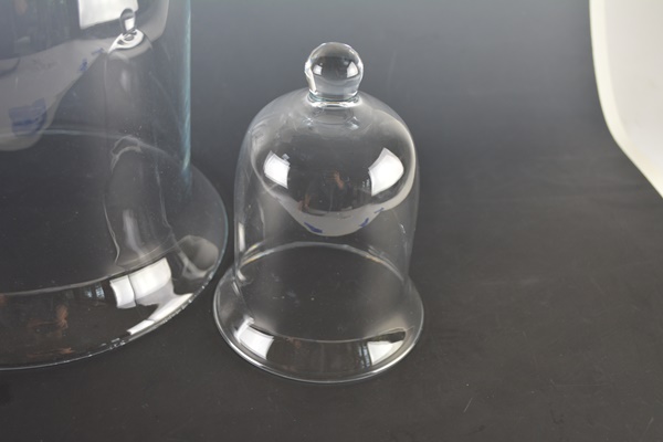 Pair of Glass Cloches