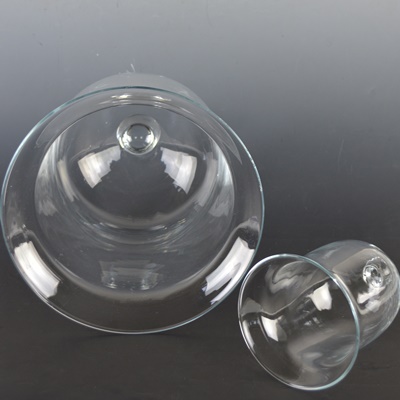 Pair of Glass Cloches