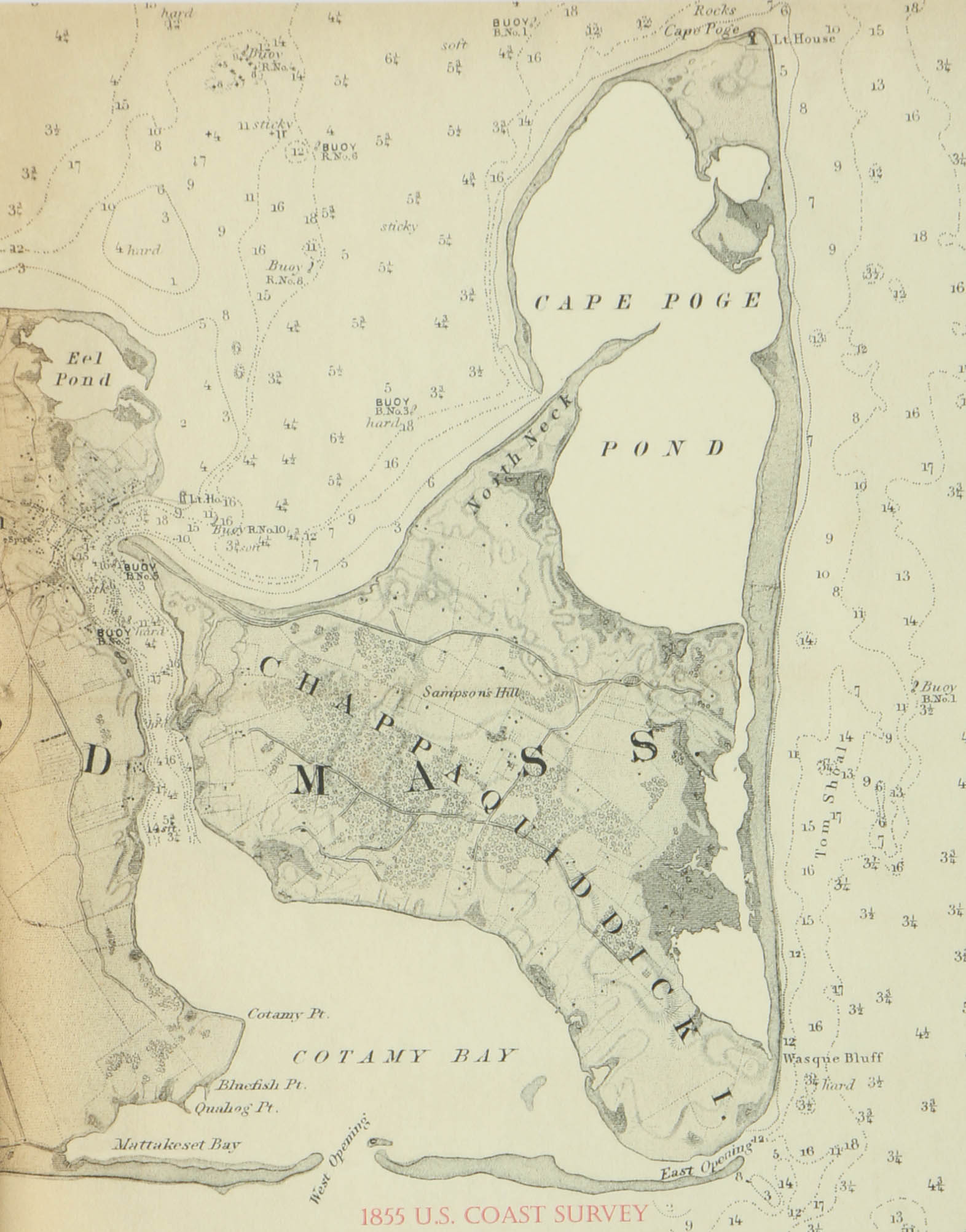 Reproduction Print of Chappaquiddick Island Map