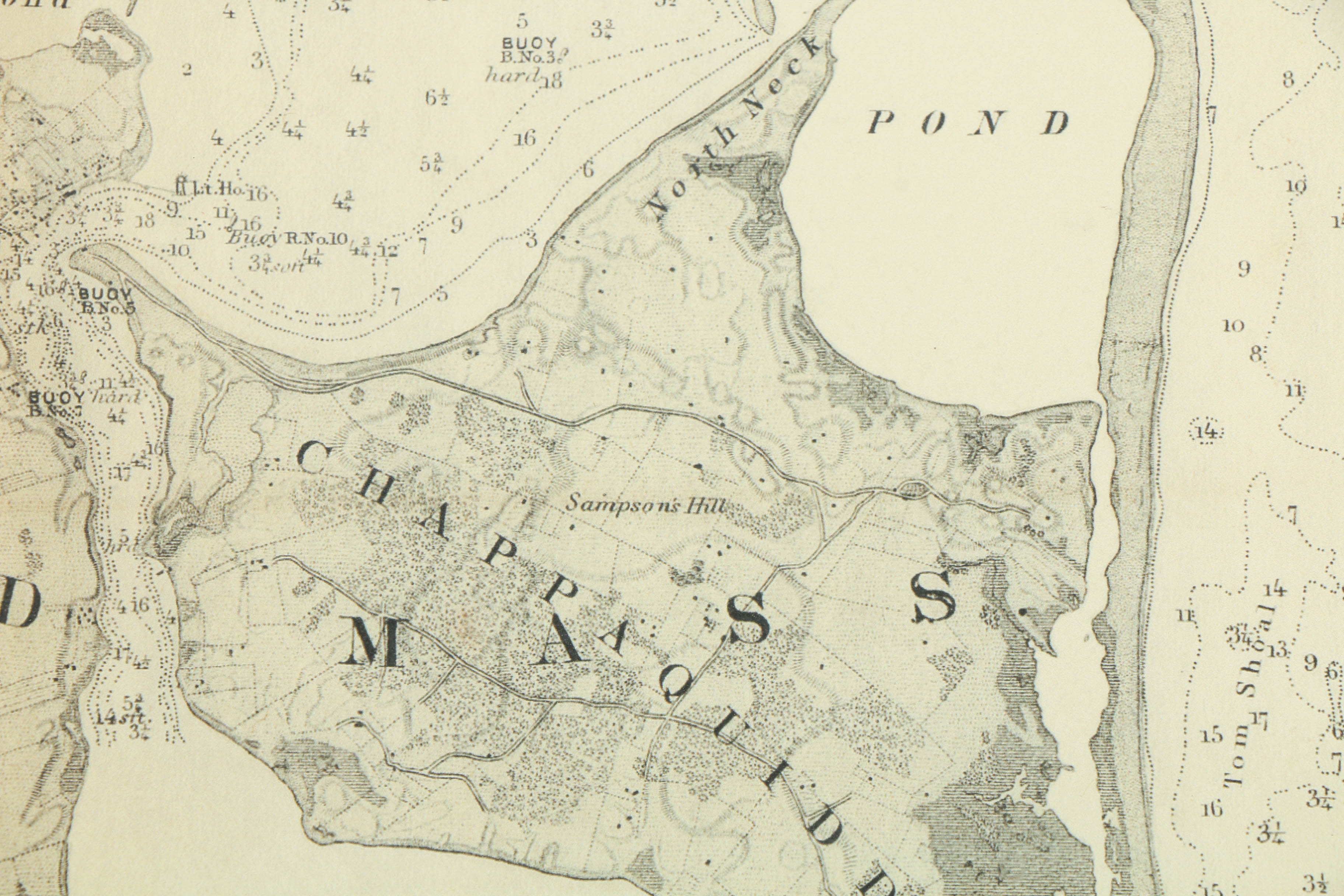 Reproduction Print of Chappaquiddick Island Map