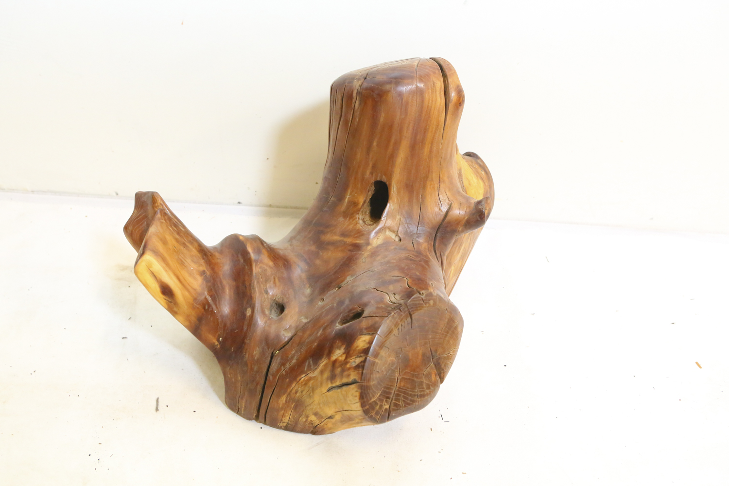 Carved Driftwood Seahorse Sculpture