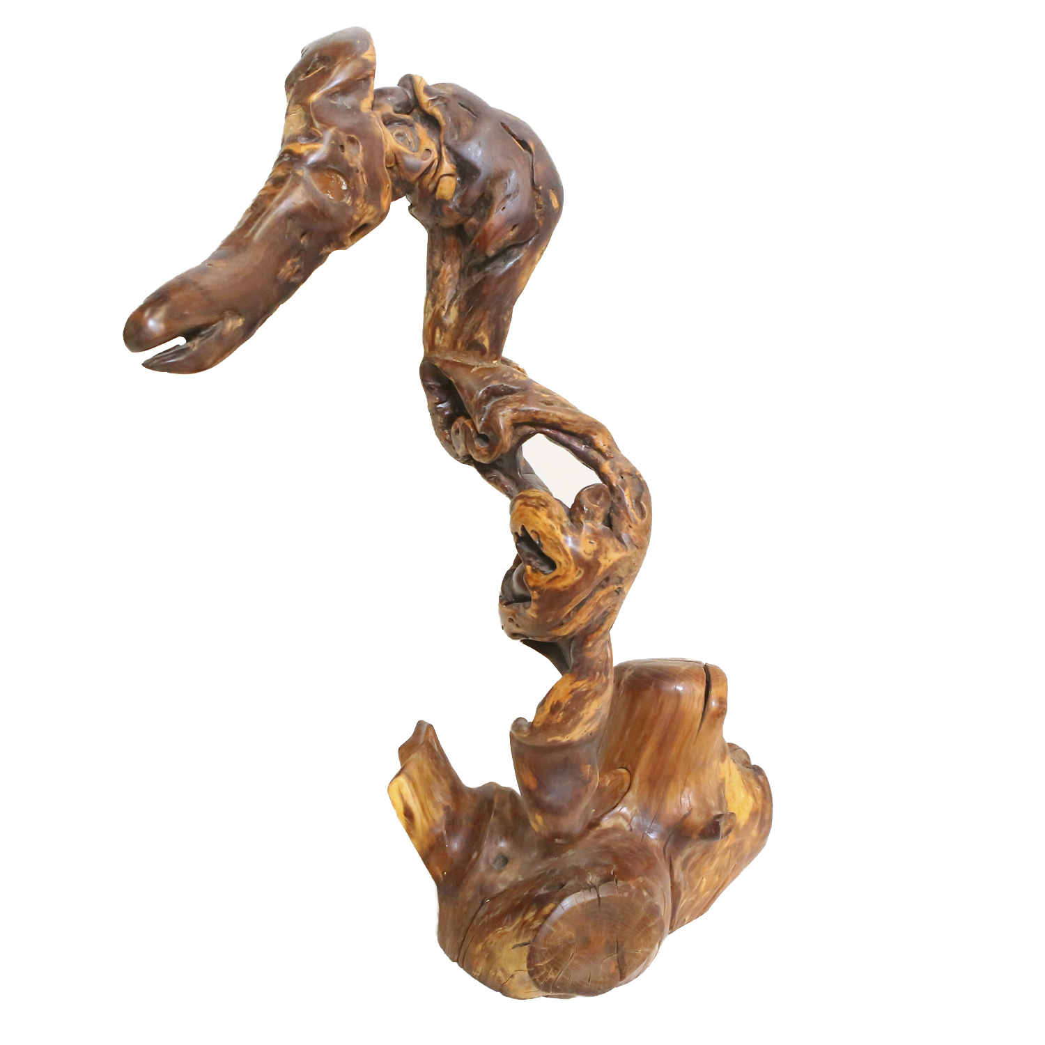 Carved Driftwood Seahorse Sculpture