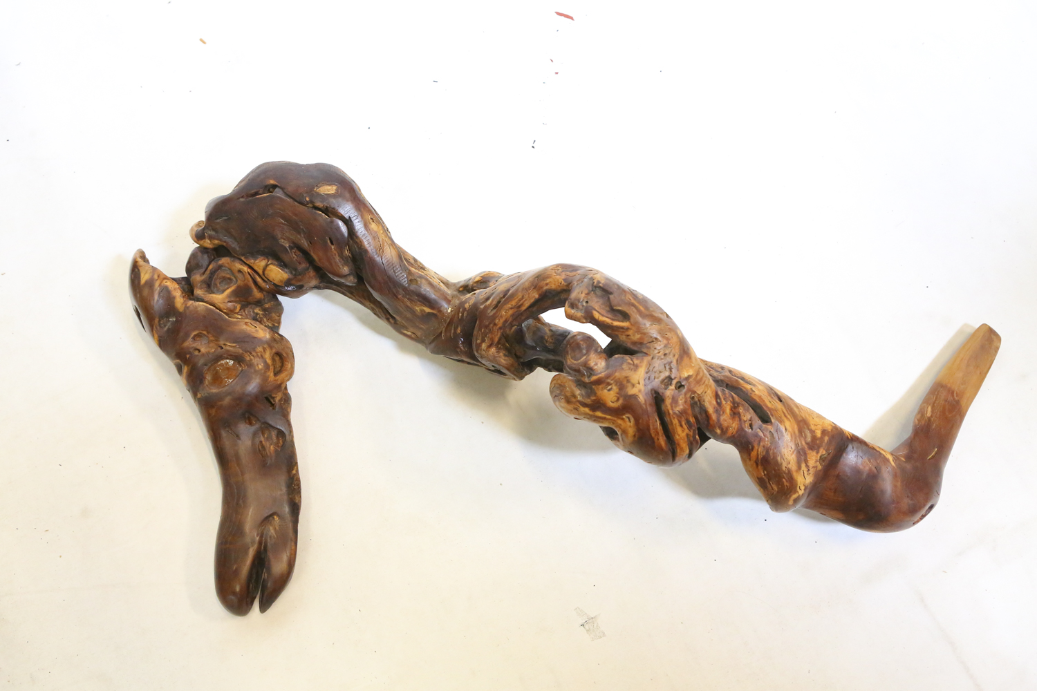 Carved Driftwood Seahorse Sculpture