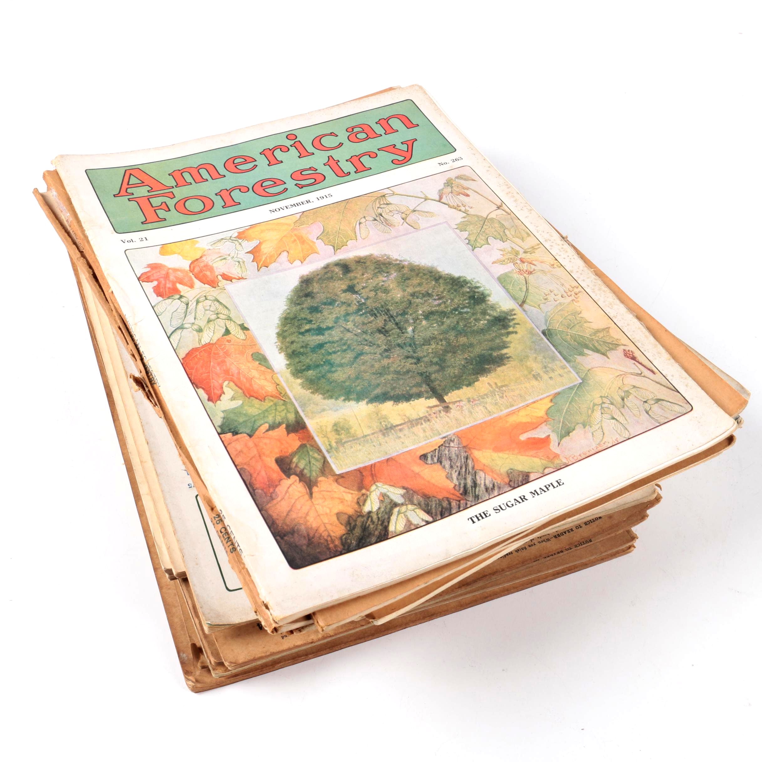 Early 20th-Century "American Forestry" Magazines