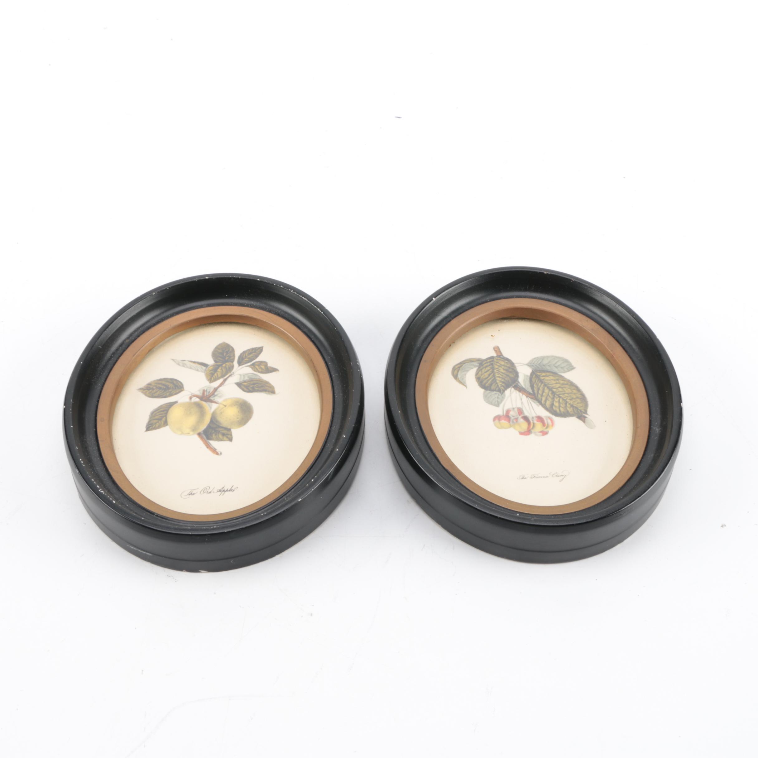 Hand-Colored Lithographs "The Ord Apple" and "The Florence Cherry"