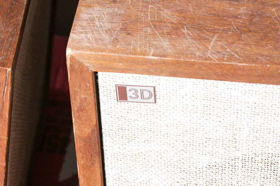 Sony Xplōd 1000W Subwoofer