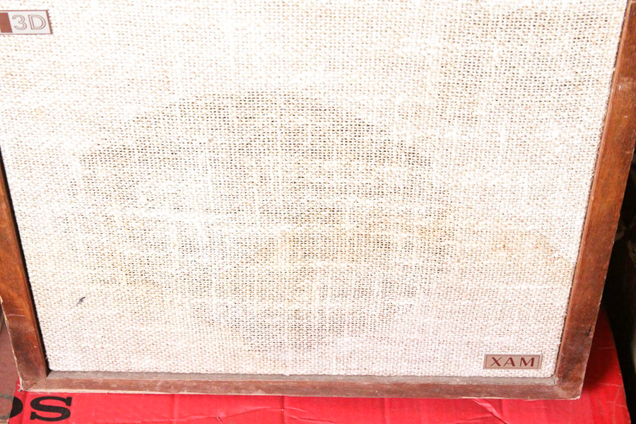 Sony Xplōd 1000W Subwoofer