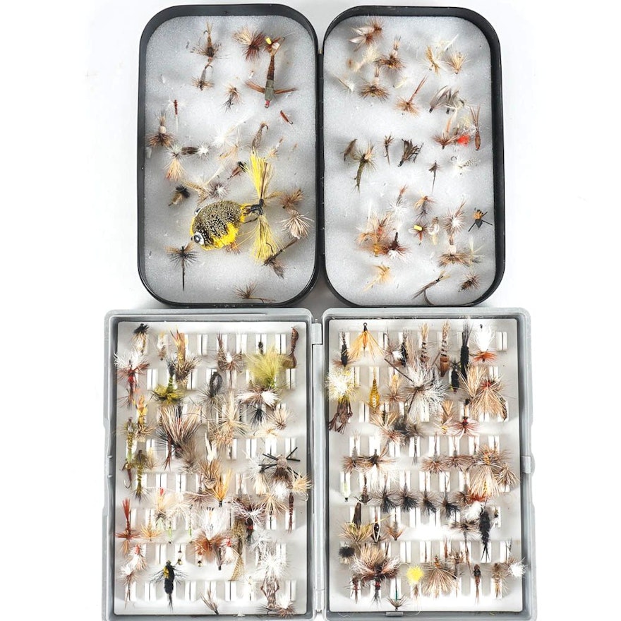 Fishing Lures in Storage Boxes