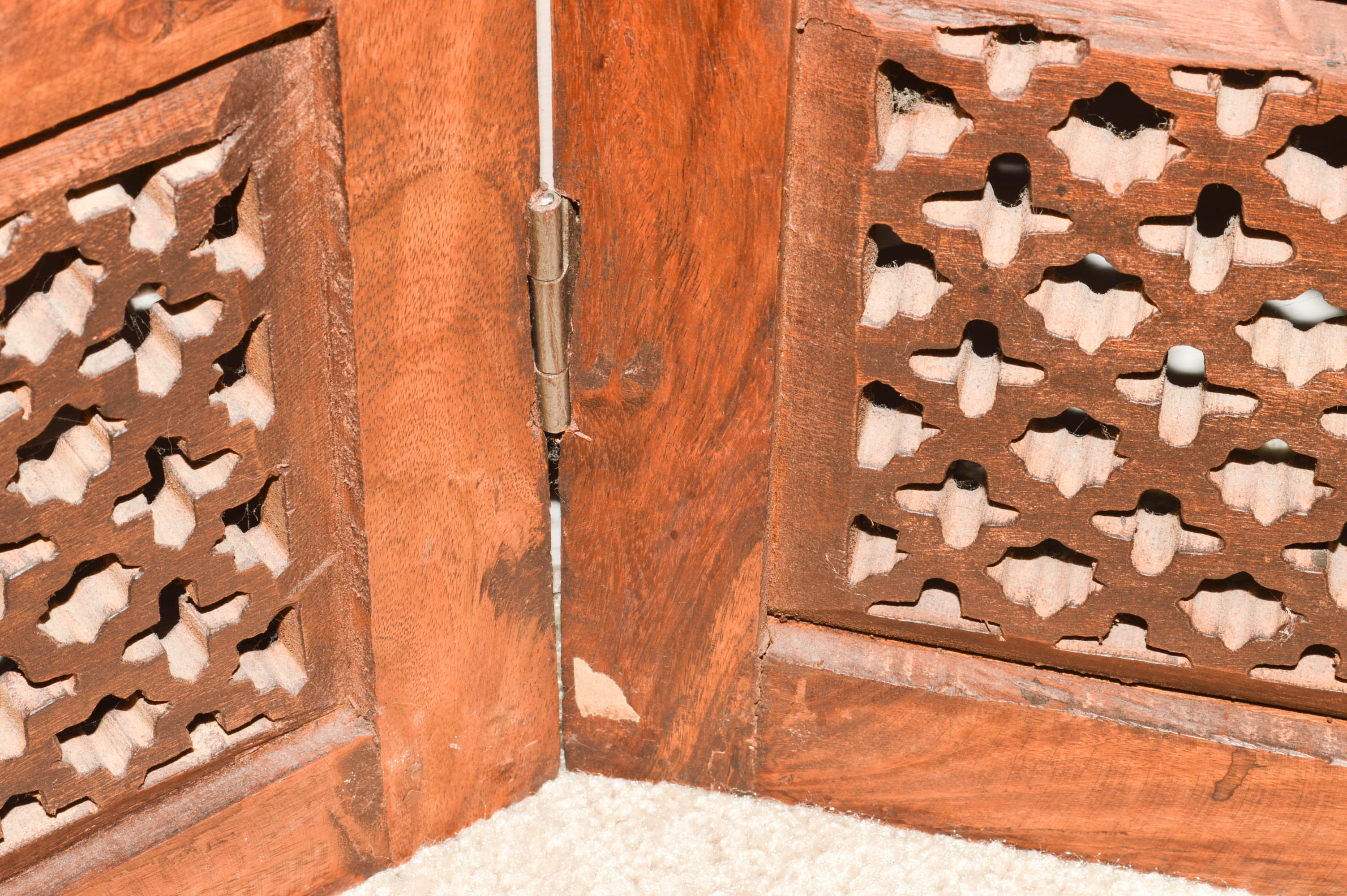 World Market "Bela" Hand Painted Folding Screen/Room Divider