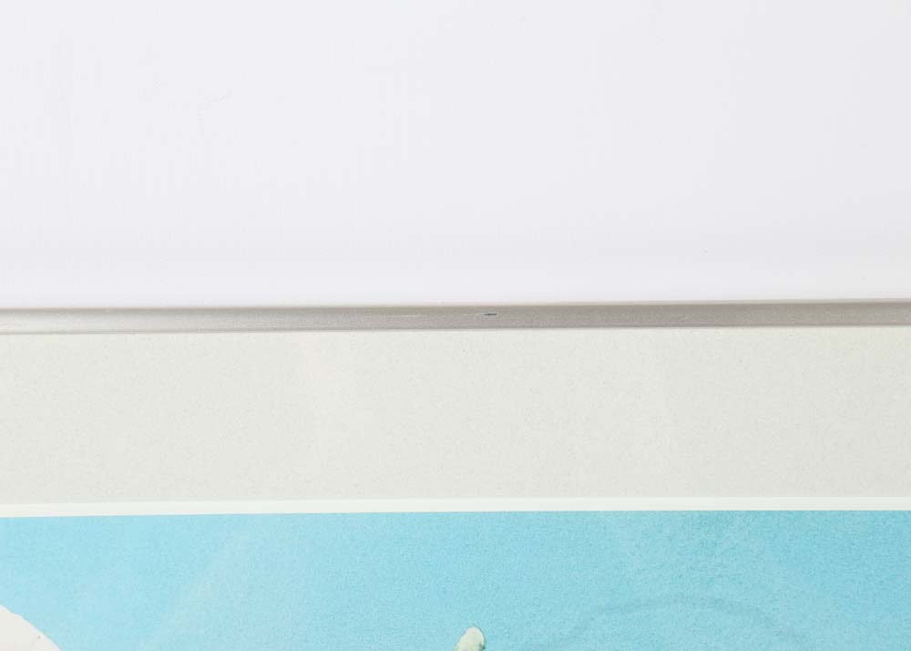 Mark Newman Signed Limited Edition Offset Lithograph