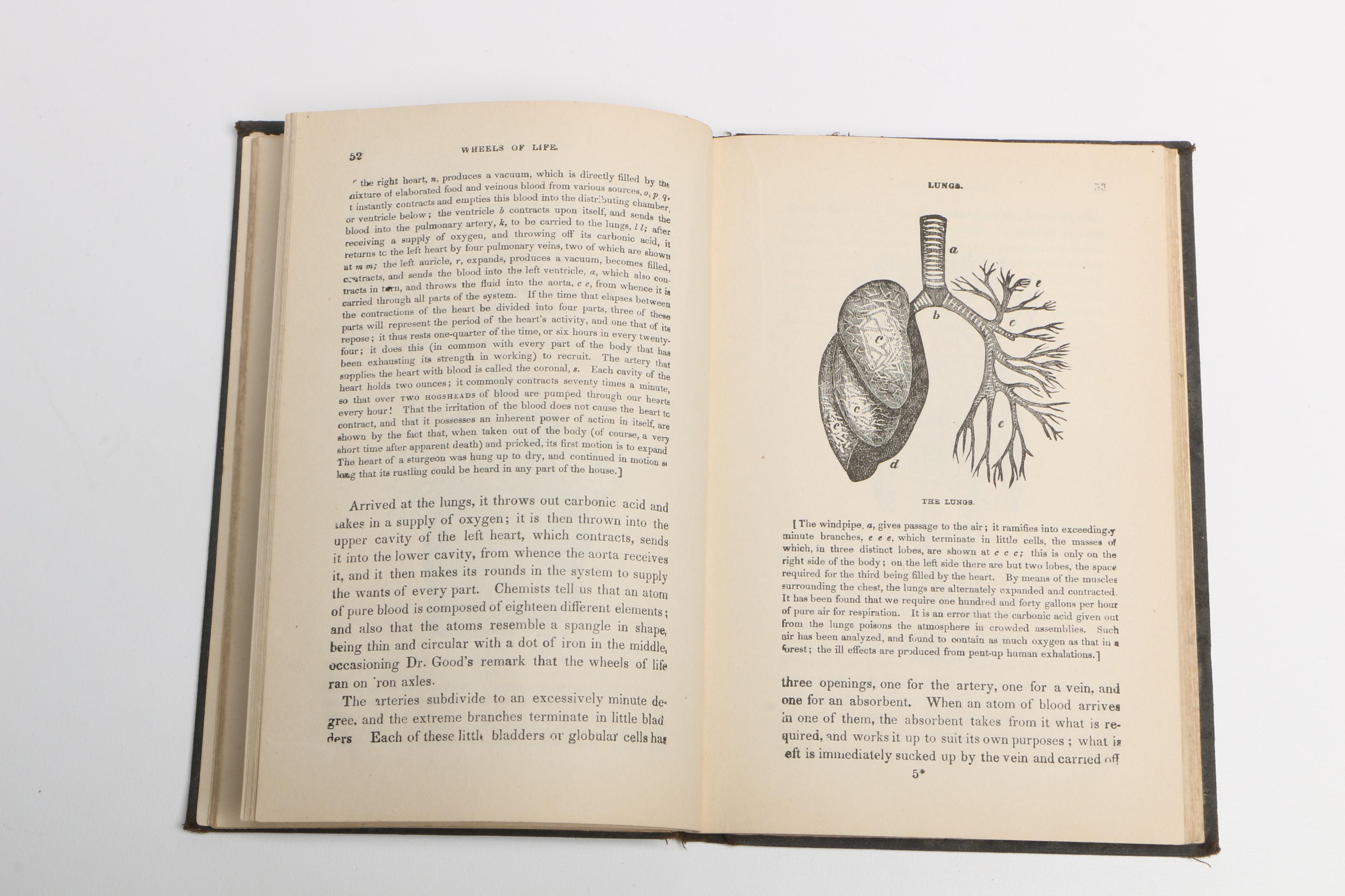 Collection of Antique Books