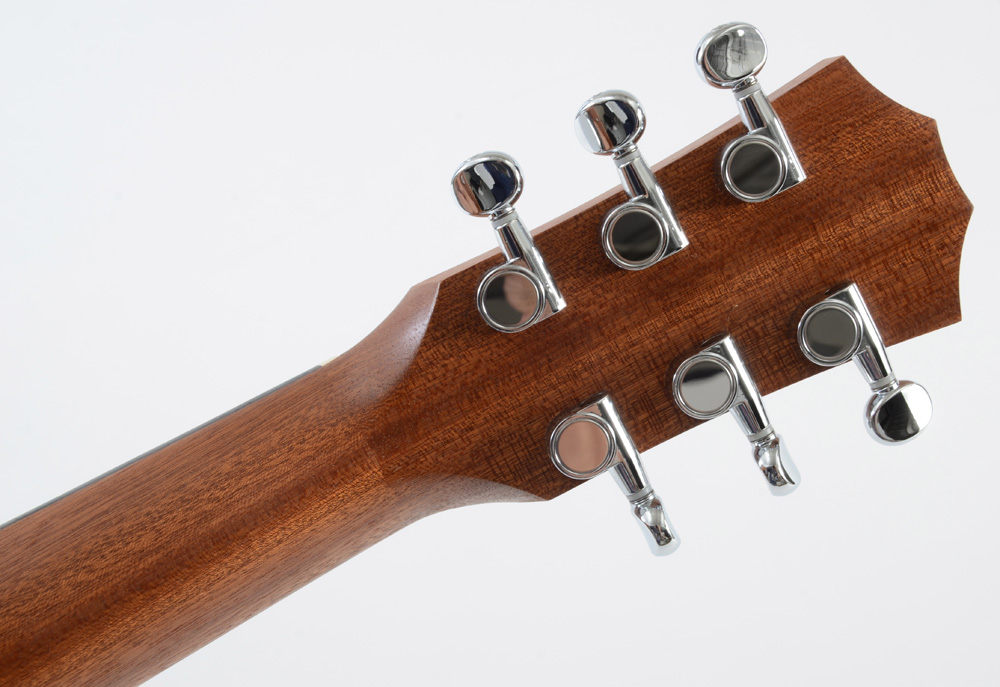 One Direction Niall Horan Signed Taylor Acoustic Guitar and Case