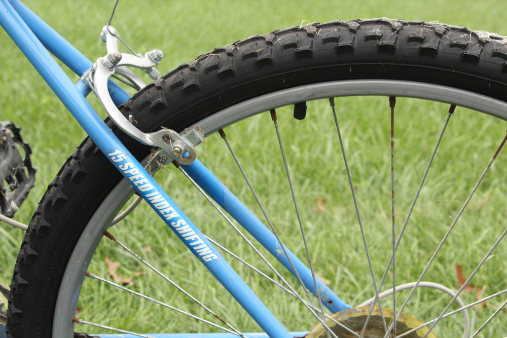 Women's Roadmaster 15-Speed Mountain Fury Bicycle