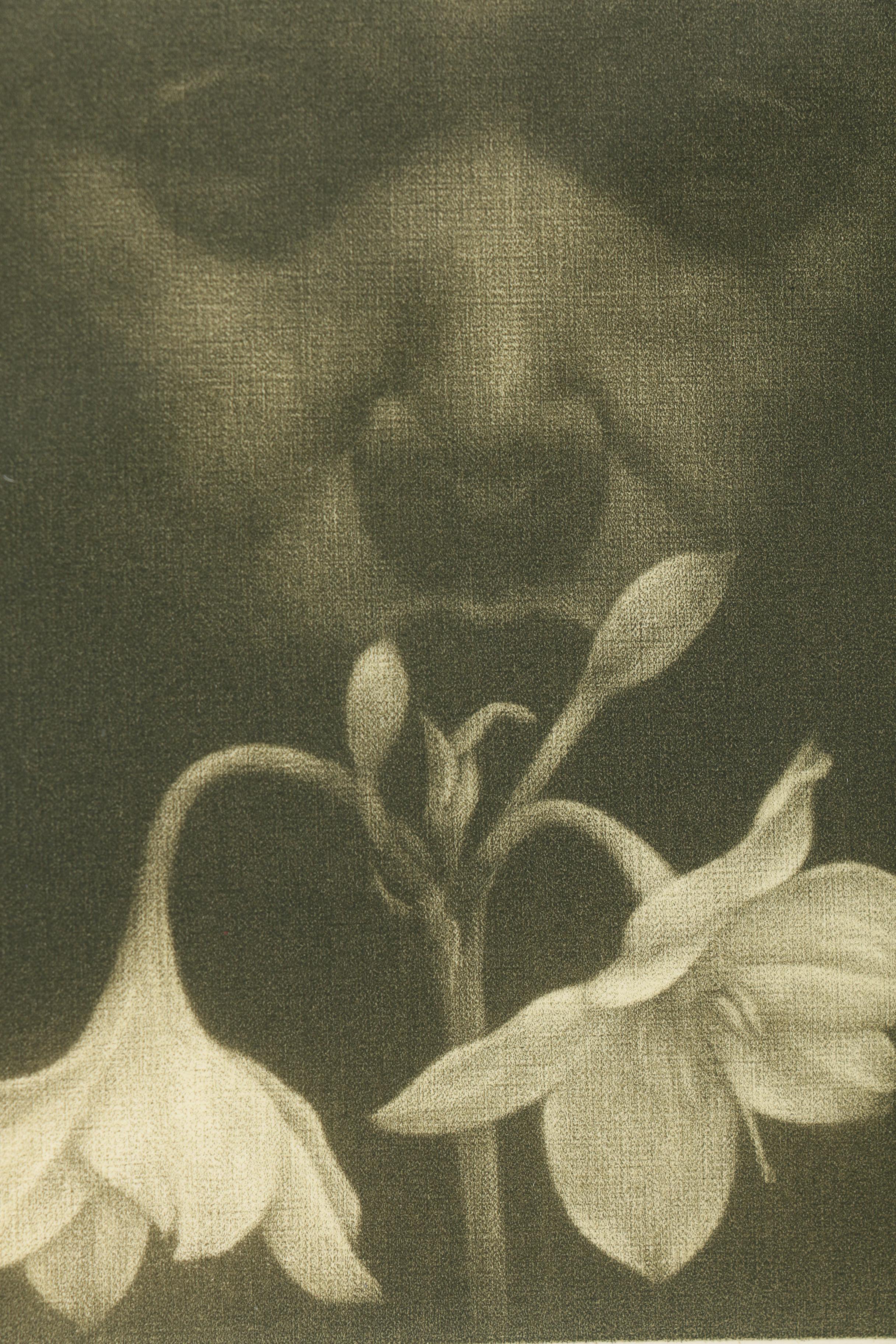Jeong Ho Park 1999 Limited Edition Intaglio Print on Paper "Le Narcisse"
