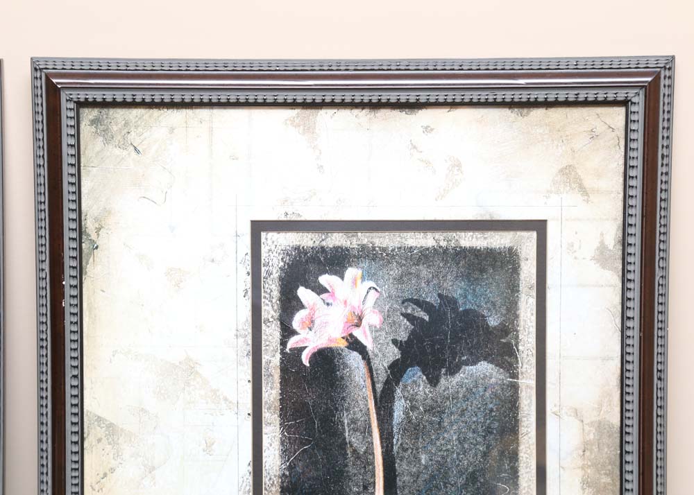 Framed Offset Lithographs of Flowers
