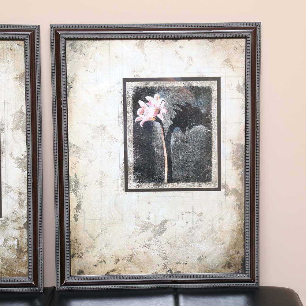 Framed Offset Lithographs of Flowers