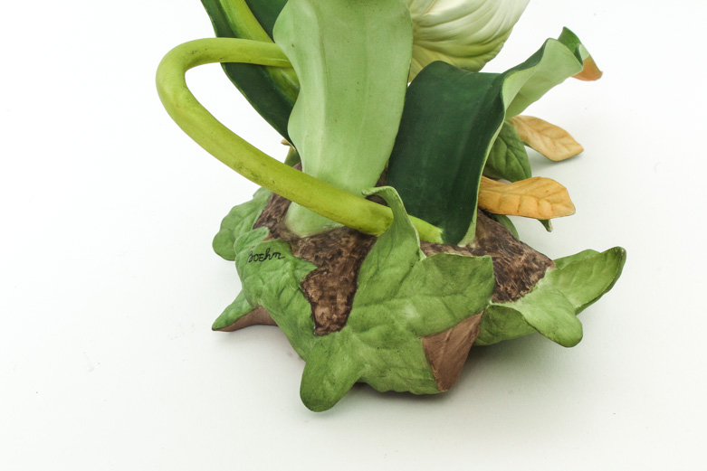 Boehm Vintage Limited Edition Porcelain Sculpture "Parrot Tulip"