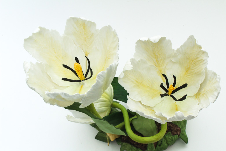 Boehm Vintage Limited Edition Porcelain Sculpture "Parrot Tulip"