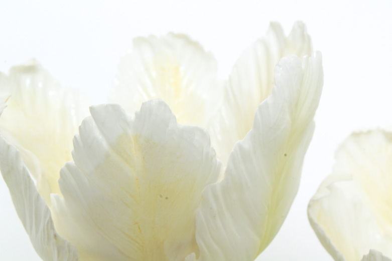 Boehm Vintage Limited Edition Porcelain Sculpture "Parrot Tulip"