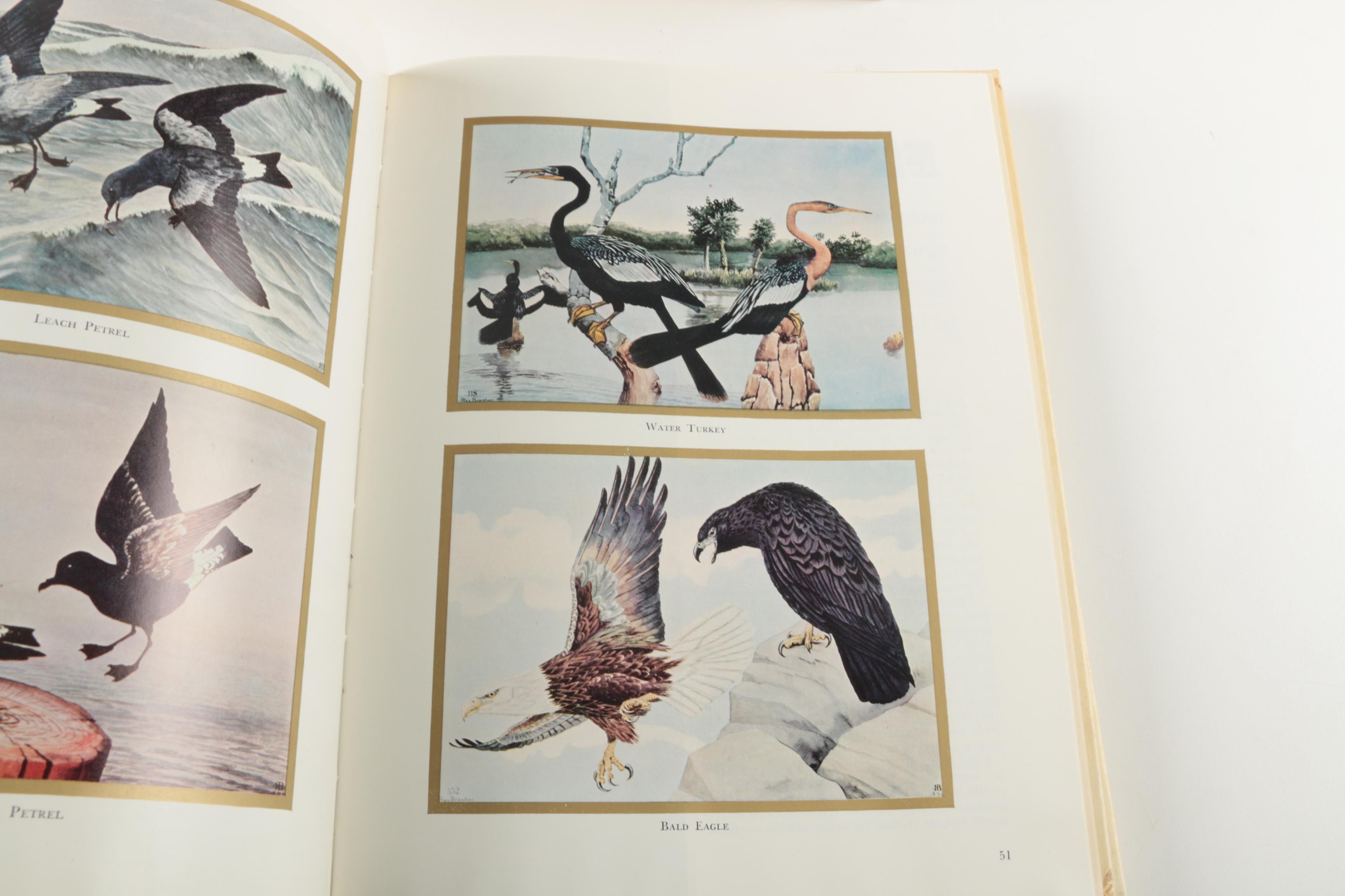 1950s–60s "American Heritage" Magazines Including First Issue