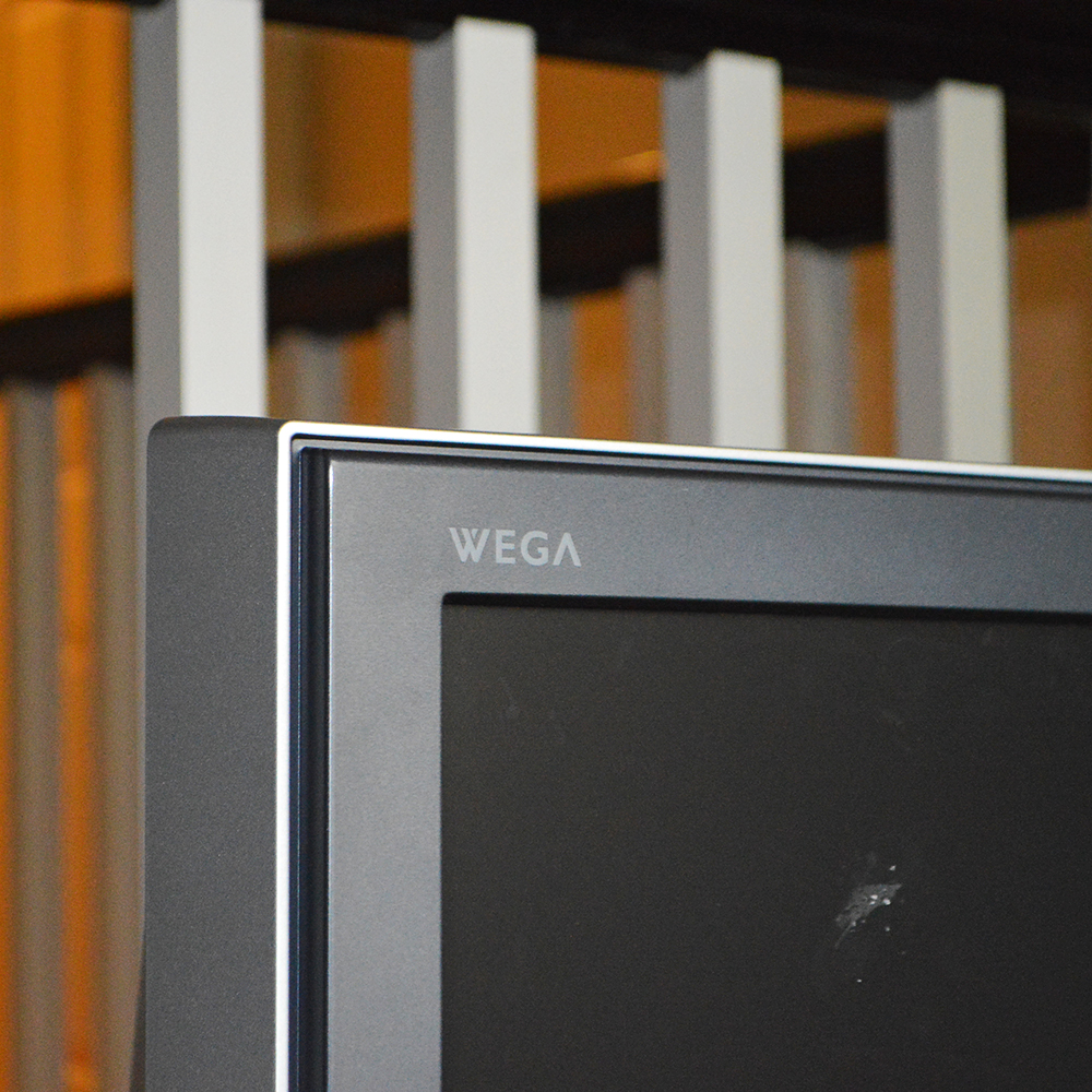 Sony WEGA 42" Flat Screen TV