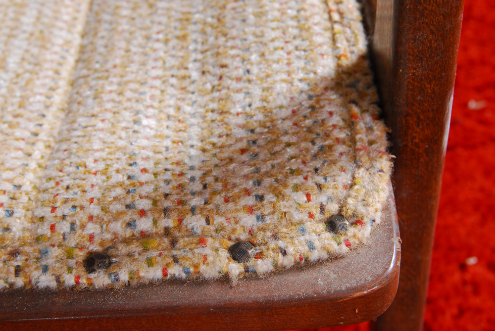 Vintage Mid Century Modern Mahogany Lounge Chair