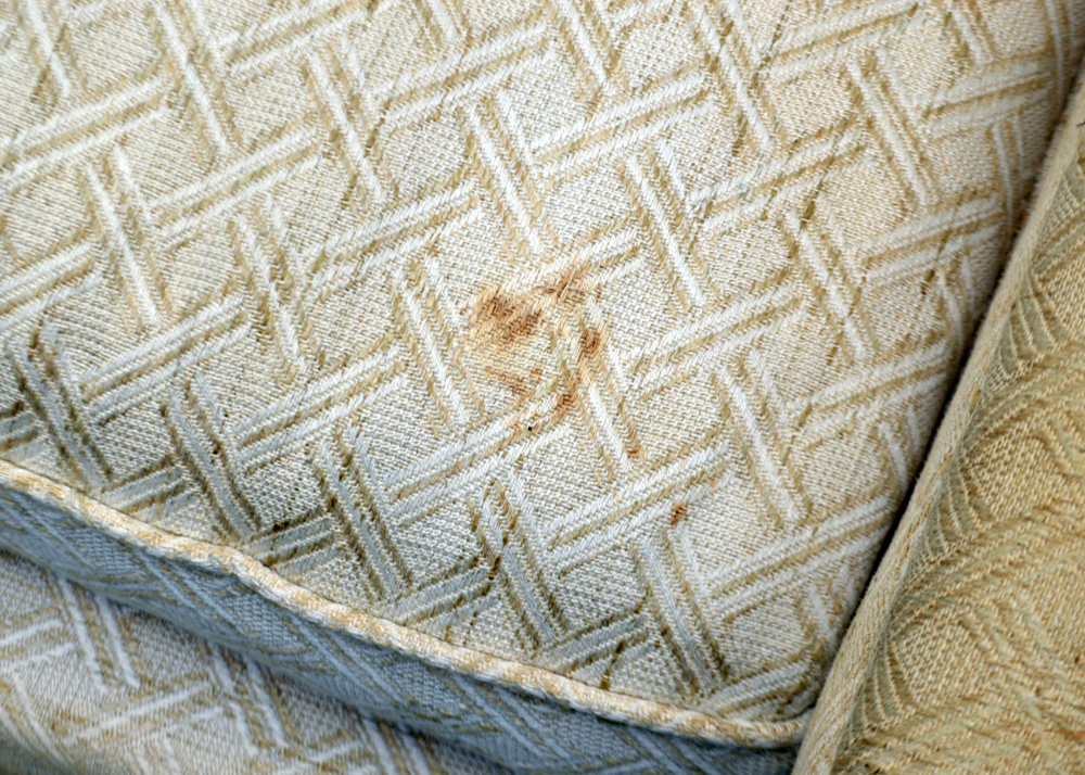 Vintage Mid-Century Sofa