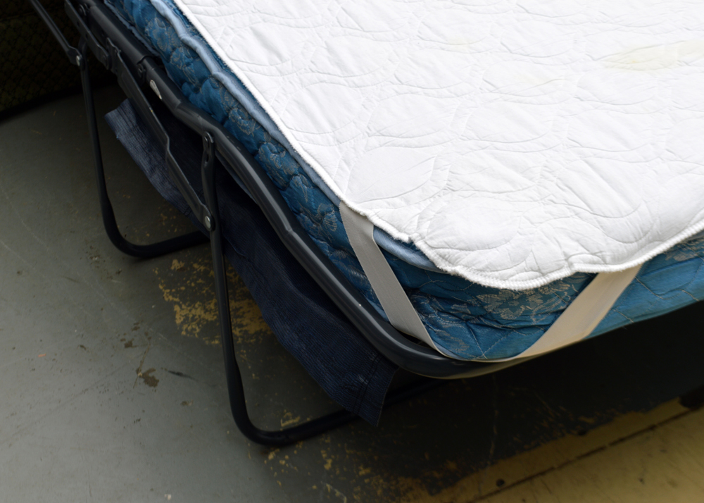 Vintage Sleeper Sofa