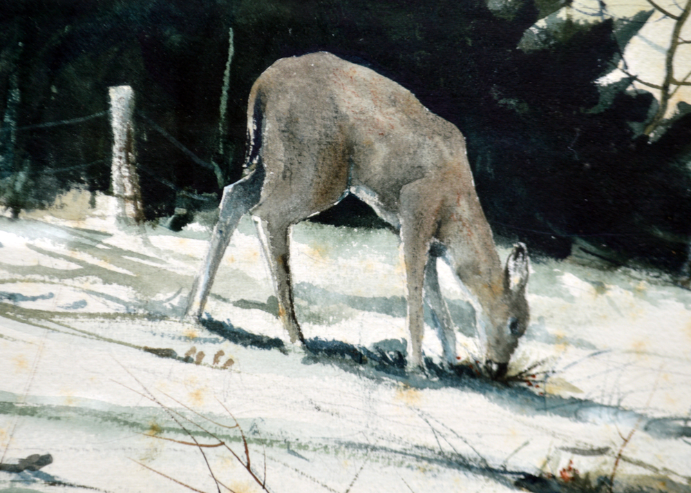 Dick Lauder Watercolor Painting of Deer