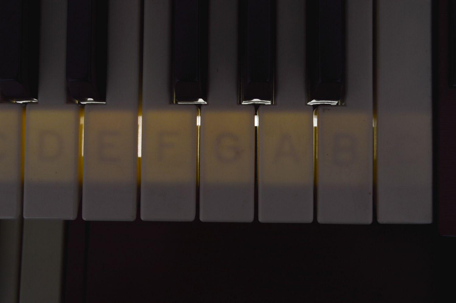 Thomas Californian 263 Electric Organ, Bench and Realistic Speakers