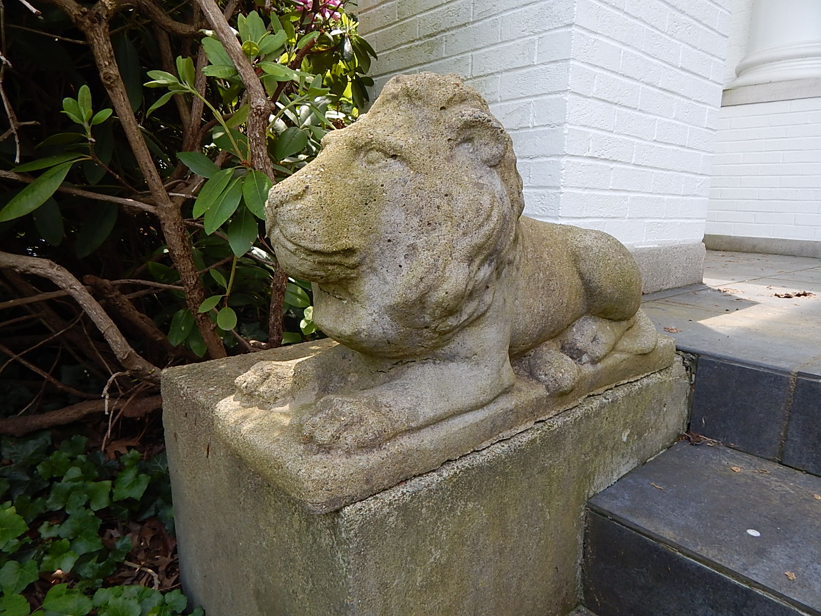 Two Concrete Lion Patio Statues Everything But The House   DSCN9799.JPG