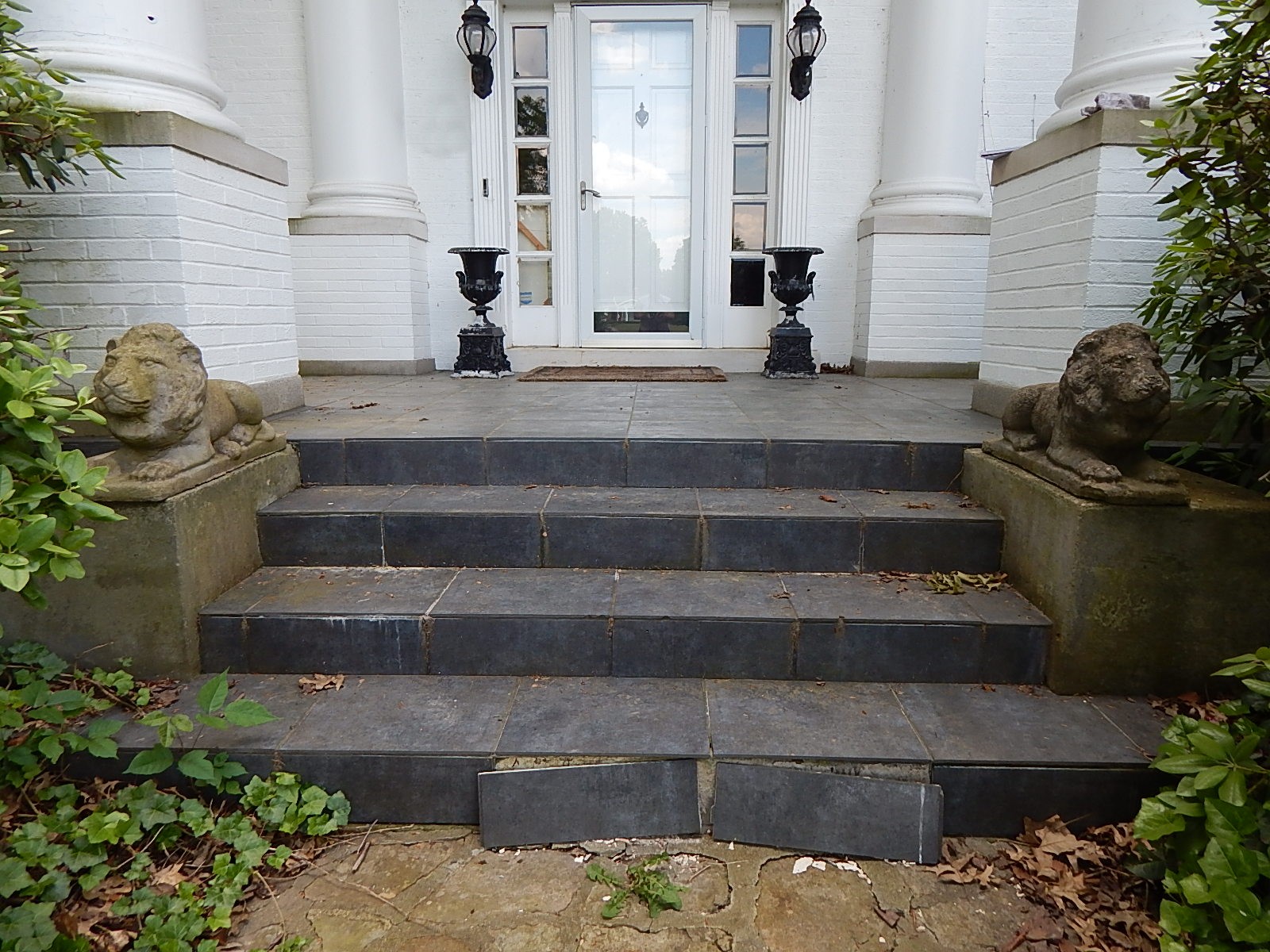 Two Concrete Lion Patio Statues
